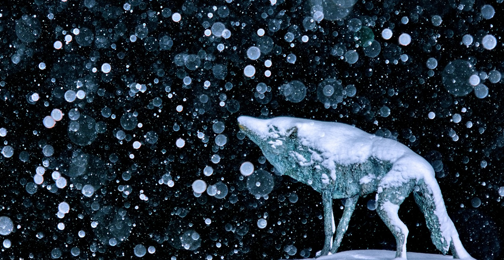 Wolfsfigur vor Schneeflocken